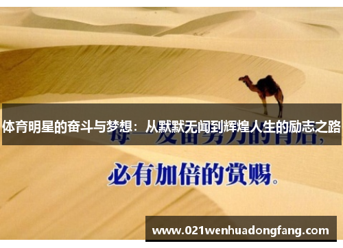 体育明星的奋斗与梦想：从默默无闻到辉煌人生的励志之路